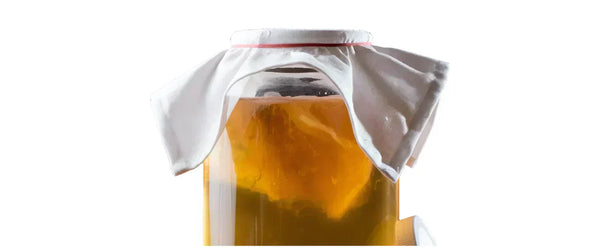 Kombucha Fermentation